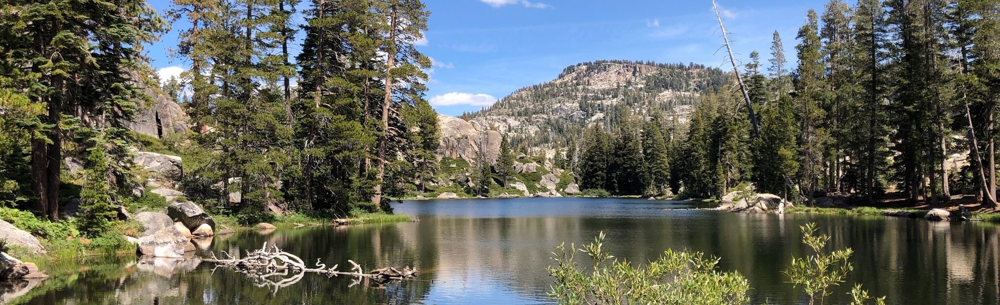 Crabtree and Bell Meadow Trail Loop | Map, Guide - California | AllTrails