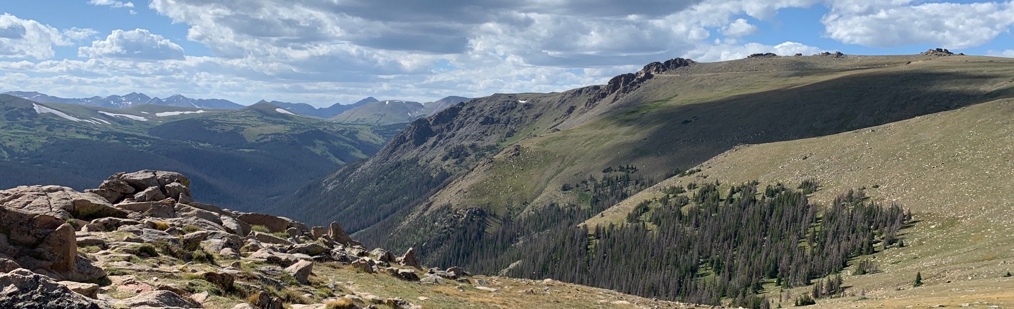 Forest Canyon Overlook, Colorado - 197 Reviews, Map | AllTrails