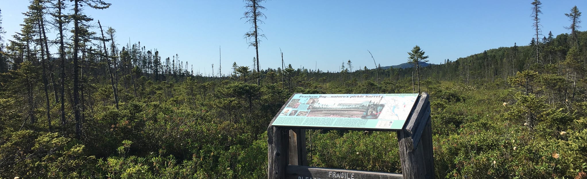 Peacham Bog Trail 53 Reviews, Map Vermont AllTrails