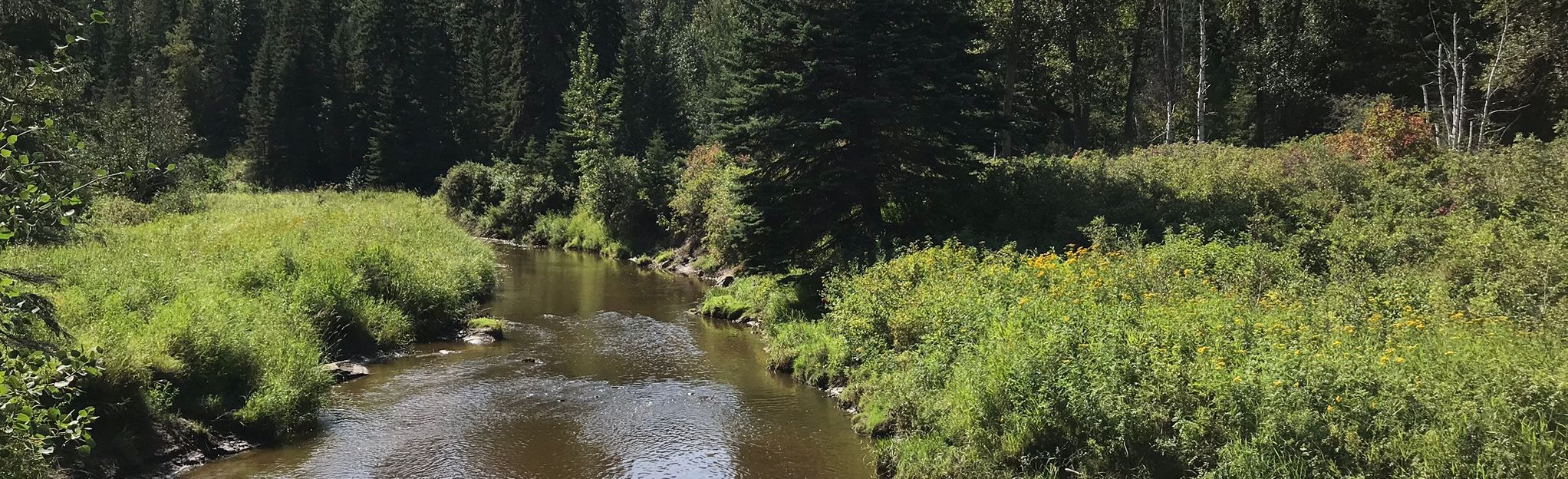 motorboat on whitemud creek