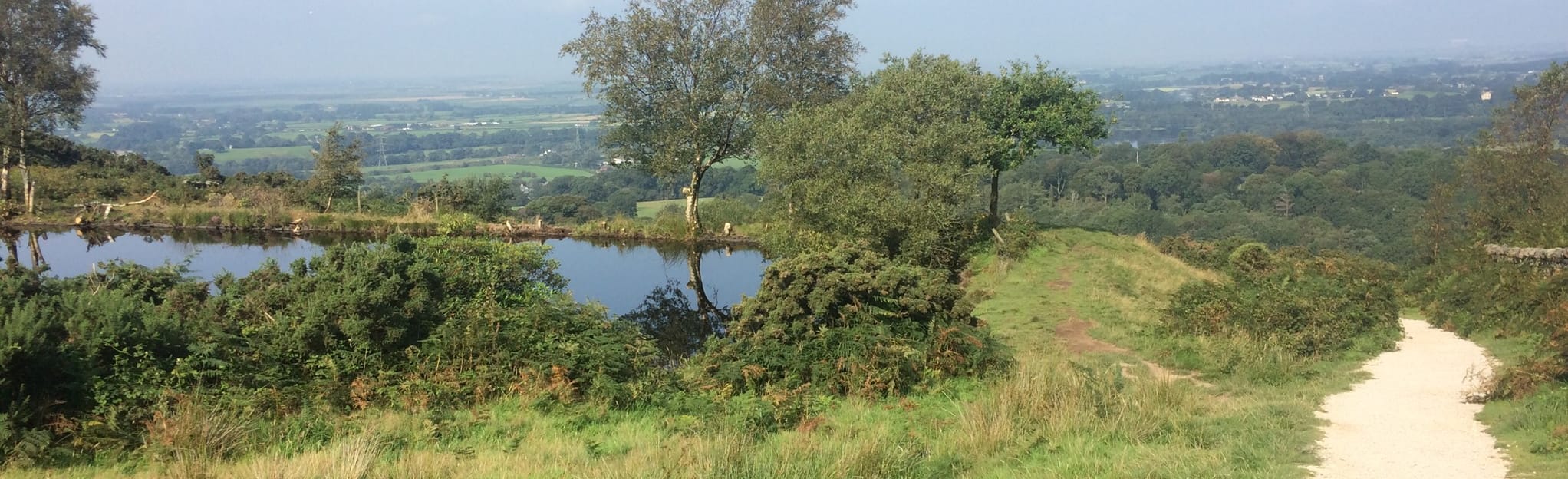 Scorton and Grizedale Reservoir Circular 331 Reviews, Map Lancashire