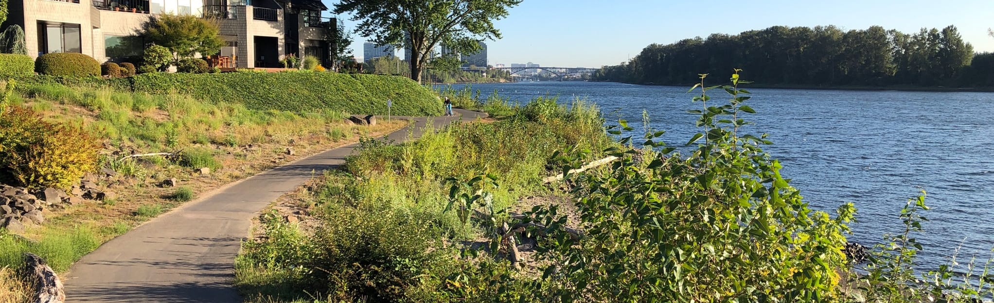 Willamette Greenway 202 Reviews - EyJidWNrZXQiOiJhc3NldHMuYWxsdHJhaWxzLmNvbSIsImtleSI6InVwbG9hZHMvcGhvdG8vaW1hZ2UvMjM4NDE2MDgvOGE2ZmEzMGE0MGE4NmUwNTFkNDI4OGQzOTcyODk3M2YuanBnIiwiZWRpdHMiOnsidG9Gb3JtYXQiOiJqcGVnIiwicmVzaXplIjp7IndpZHRoIjoyMDQ0LCJoZWlnaHQiOjYyNCwiZml0IjoiY292ZXIifSwicm90YXRlIjpudWxsLCJqcGVnIjp7InRyZWxsaXNRdWFudGlzYXRpb24iOnRydWUsIm92ZXJzaG9vdERlcmluZ2luZyI6dHJ1ZSwib3B0aW1pc2VTY2FucyI6dHJ1ZSwicXVhbnRpc2F0aW9uVGFibGUiOjN9fX0=