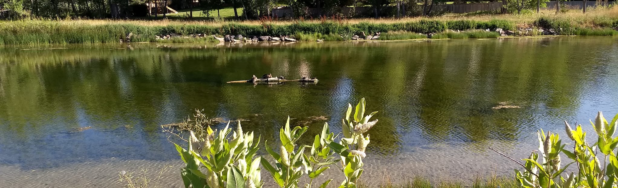 Fossil Creek Park Colorado AllTrails