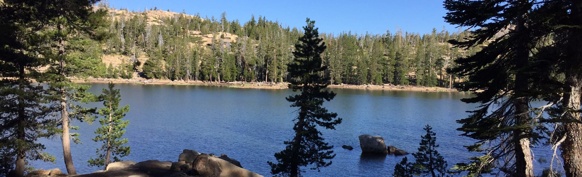 Tamarack Lake Trail Map, Guide California AllTrails