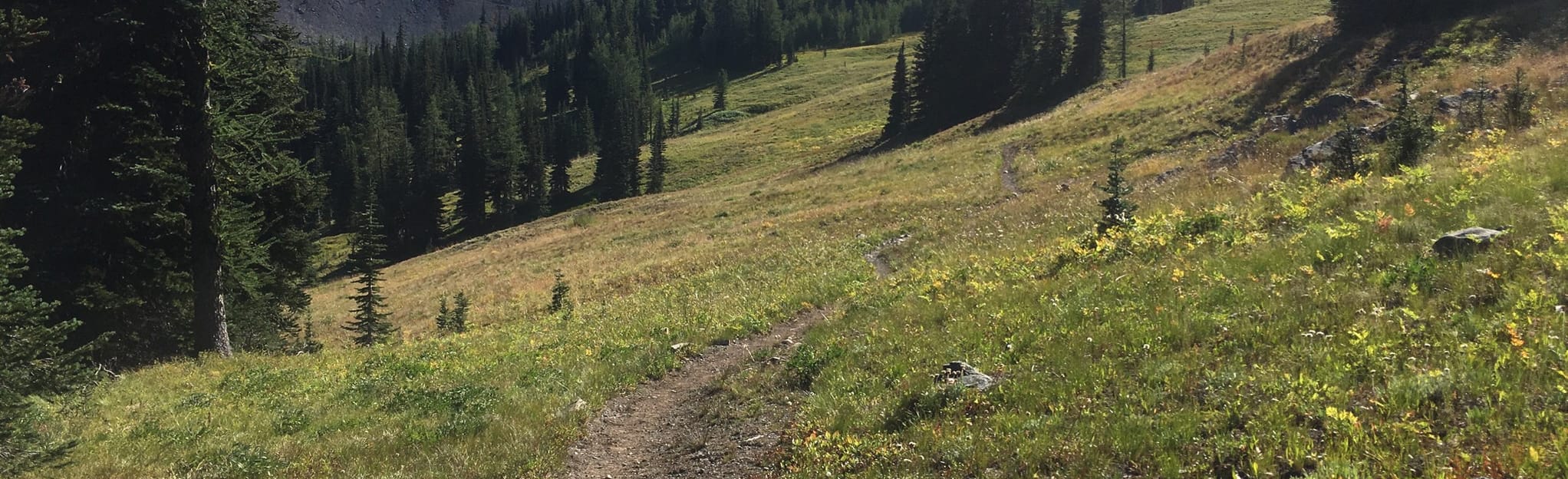 Buckskin Ridge Trail to Robinson Creek Map, Guide Washington
