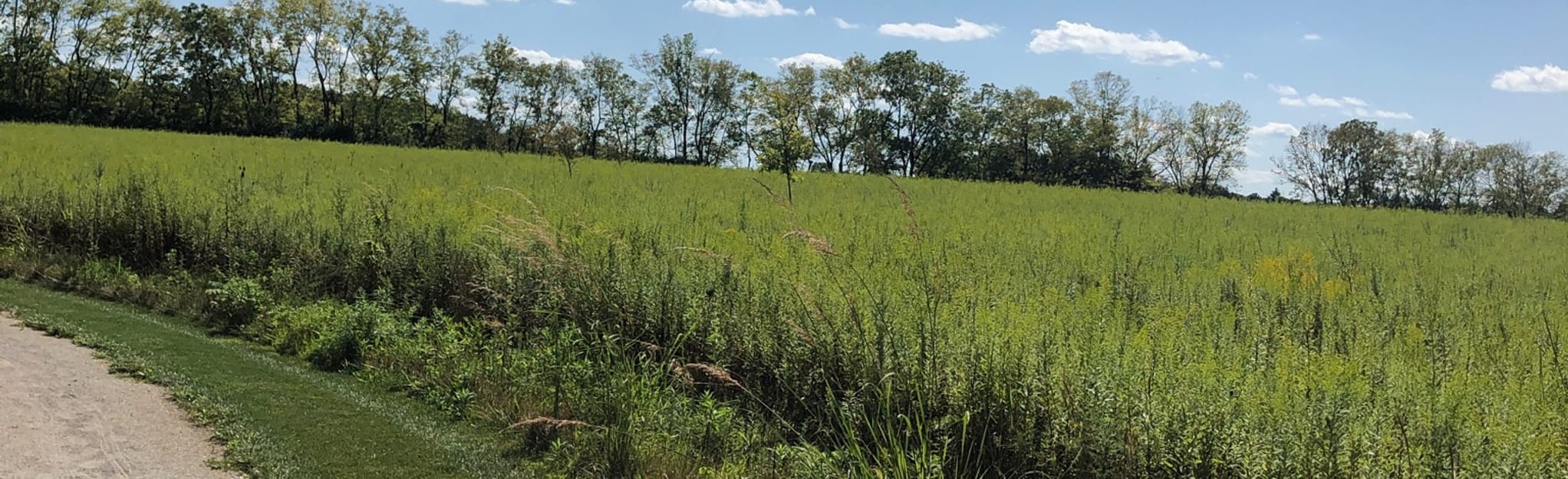 REI River Trail , Ohio 545 Reviews, Map AllTrails