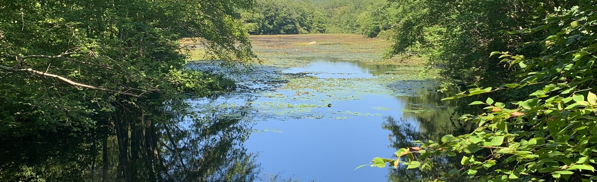 Oswegatchie Hills Blue Trail, Connecticut 114 Reviews, Map AllTrails