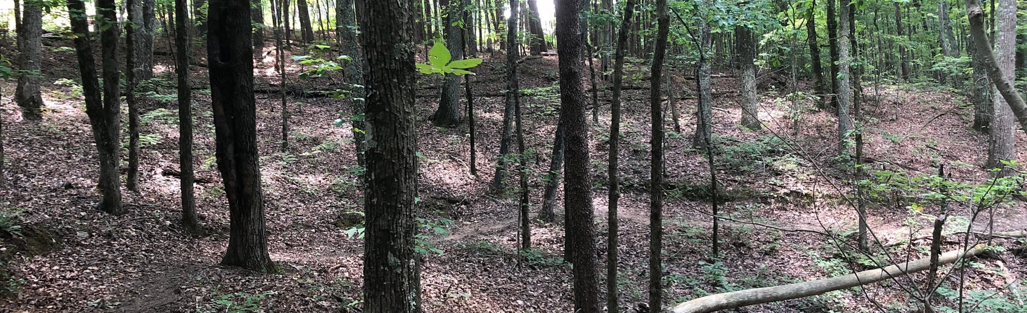 Garland Mountain East Side Loop AllTrails