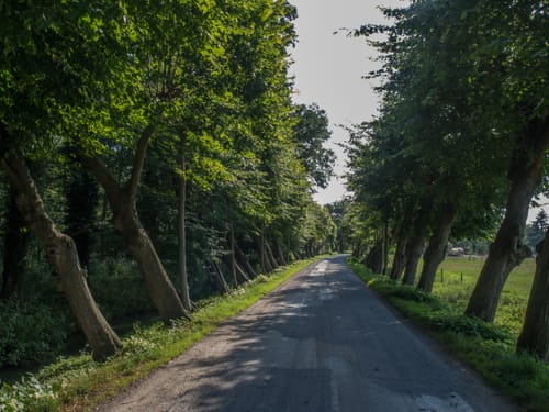 Schlösserweg Barenaue