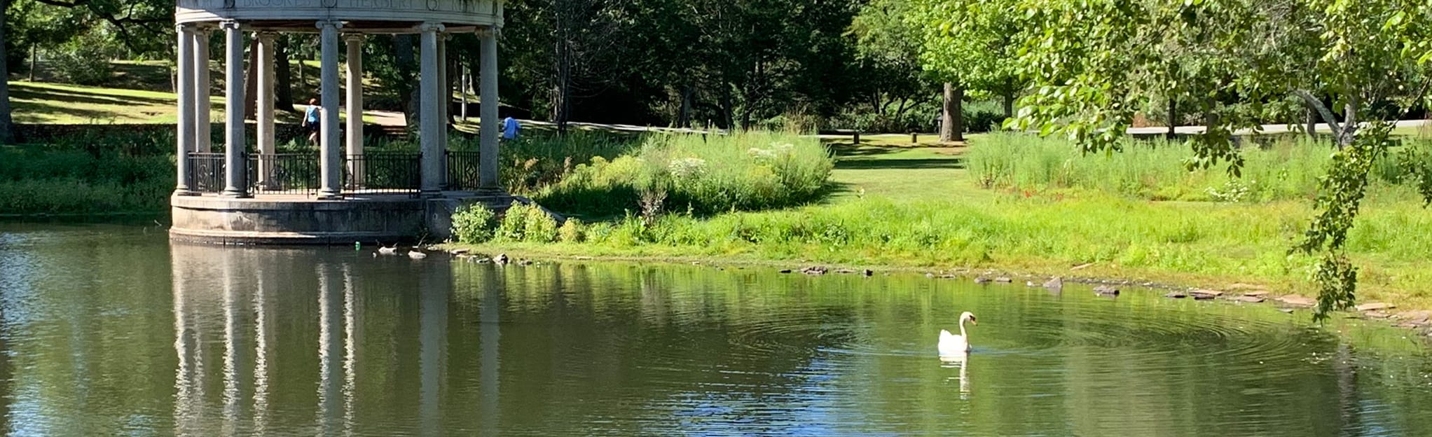 Slater Park Loop, Rhode Island 125 Reviews, Map AllTrails