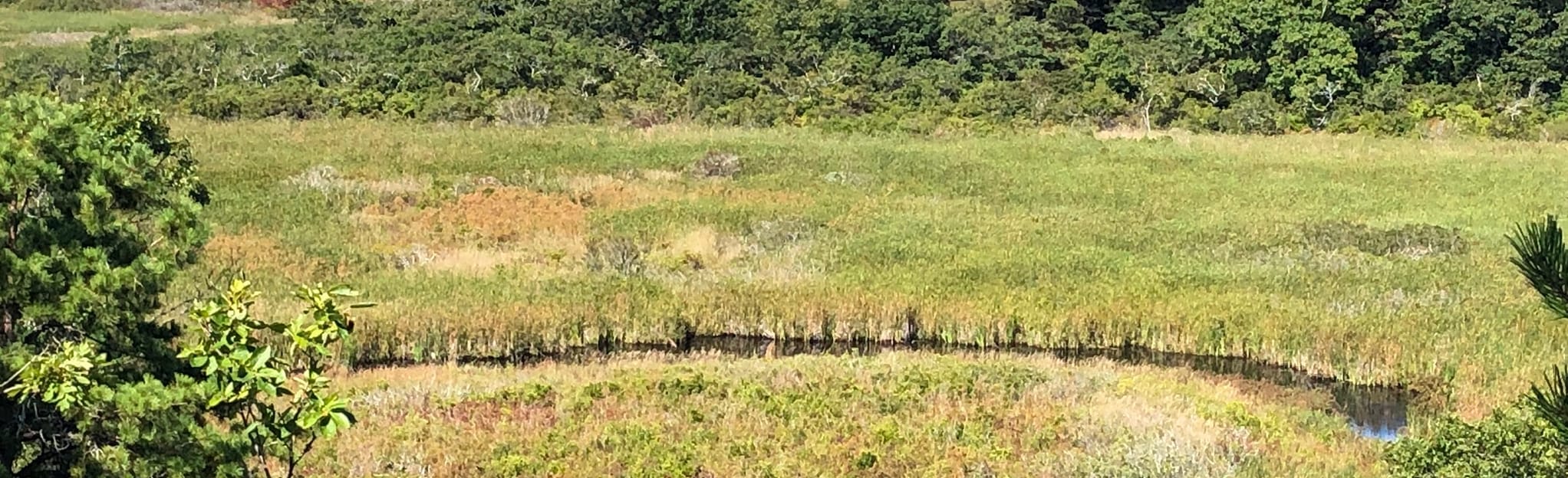 Bound Brook Loop, Massachusetts 192 Reviews, Map AllTrails