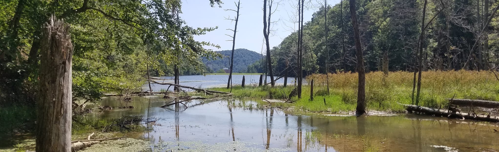 Eagle Lake Loop Trail 114 Reviews, Map Kentucky AllTrails