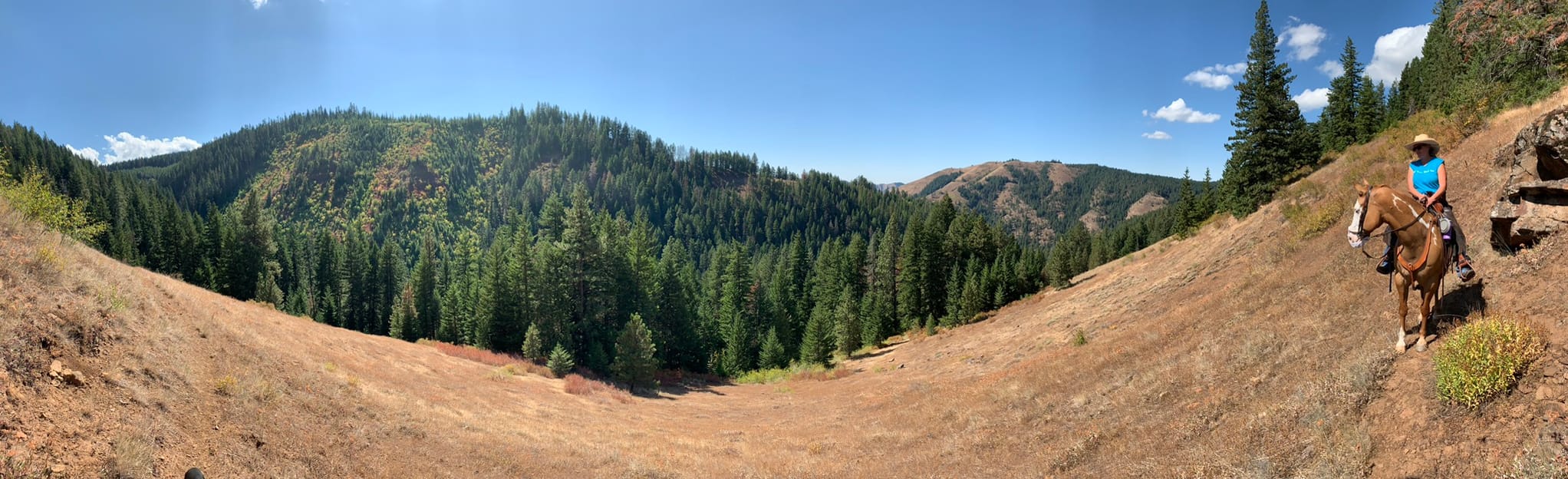 Buck Mountain, Lake Creek and Buck Creek Loop, Oregon 16 Reviews, Map