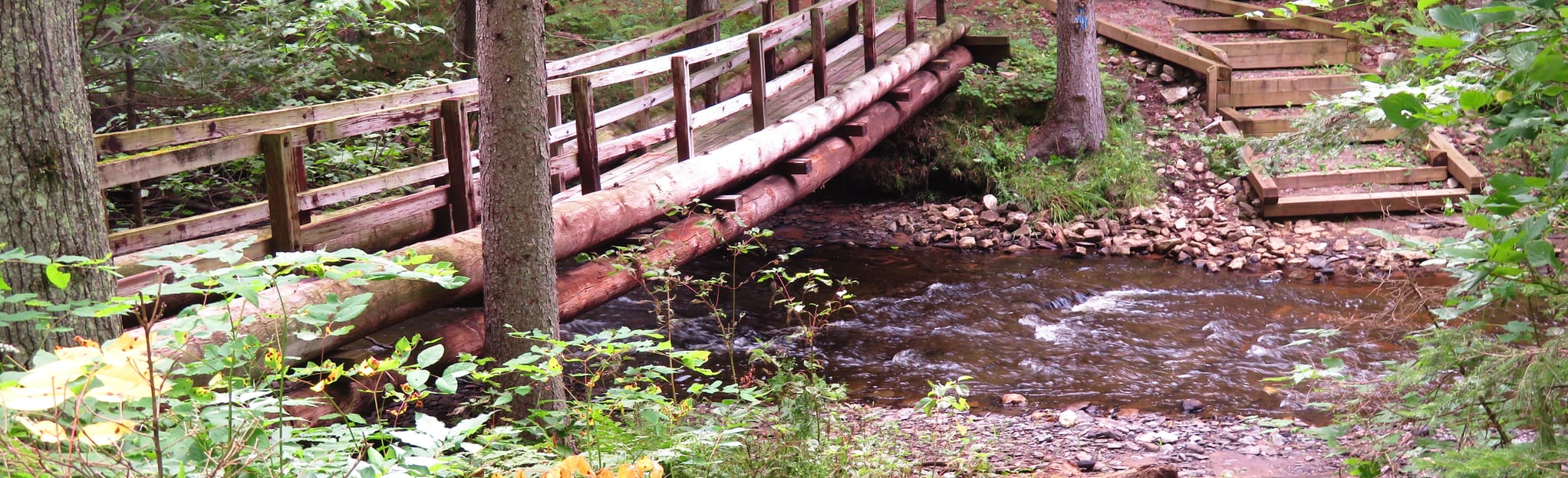Haymeadow Spur Trail, Michigan 29 Reviews, Map AllTrails