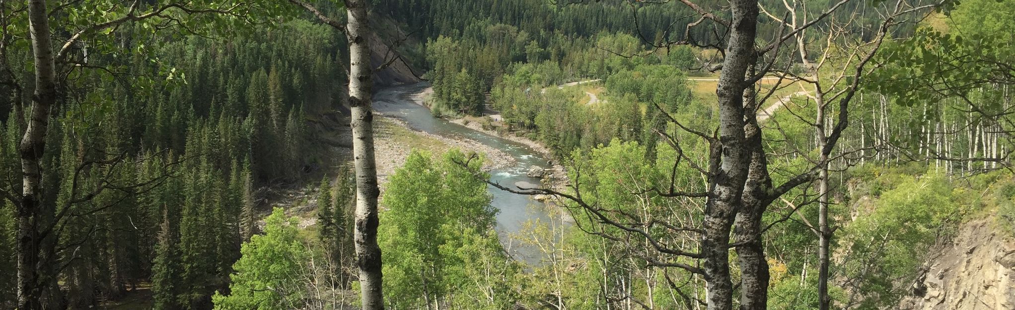 Sandy McNabb Trail: Short Loop: 123 Reviews, Map - Alberta, Canada ...