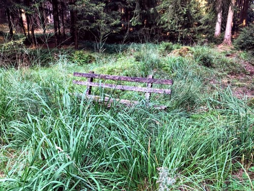 Spessart 50