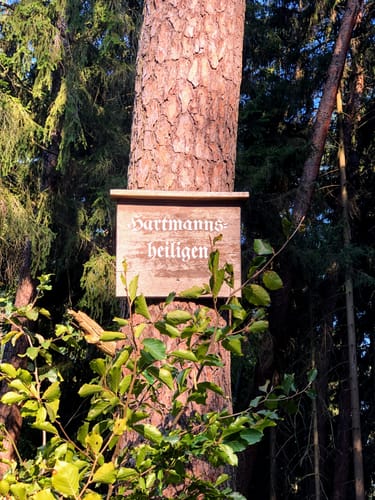 Spessart 50