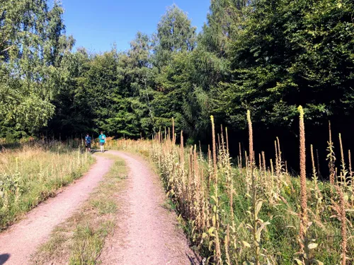 10 Best Hard Trails In Hessian Spessart Nature Park | AllTrails