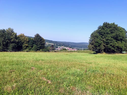 Spessart 50