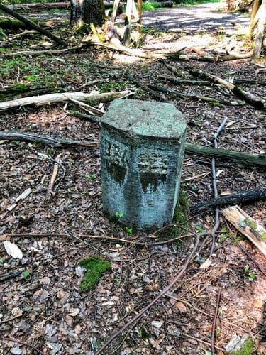 Spessart 50