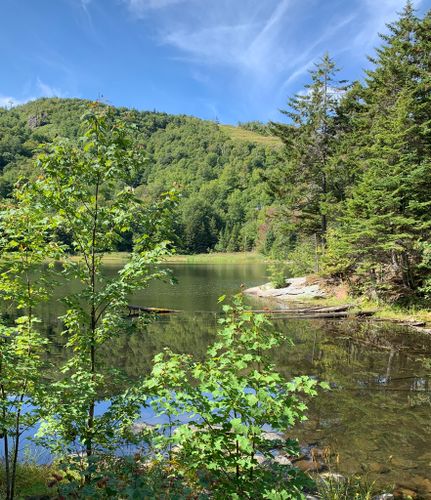 2023 Best 10 Easy Trails in Green Mountain National Forest | AllTrails