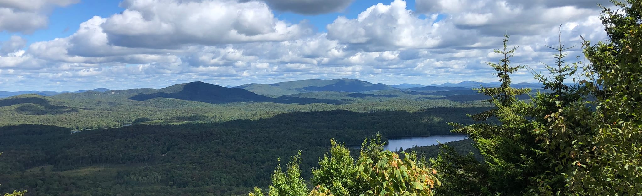 Floodwood Mountain Trail, New York 219 Reviews, Map AllTrails