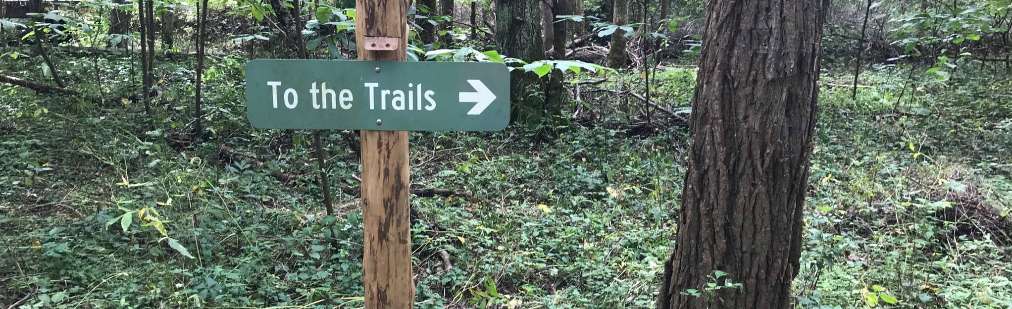 Early Buttercup Trail Map, Guide Ohio AllTrails