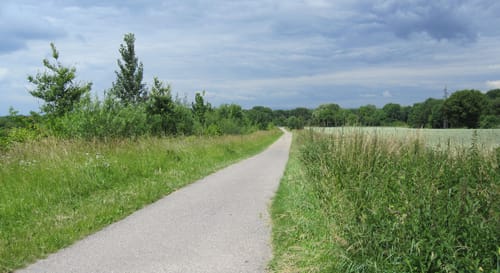 Galgenhohl - Pfannwaldsee