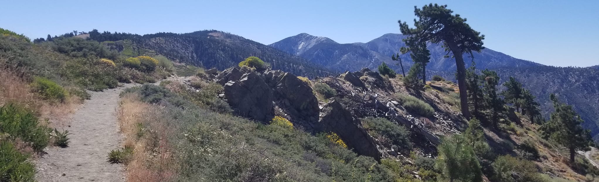 Inspiration Point to Boy Scout Trail Loop: 22 Reviews, Map - California ...