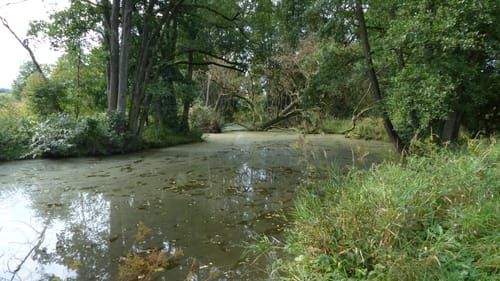 Radtour von Arnstorf nach Malgersdorf