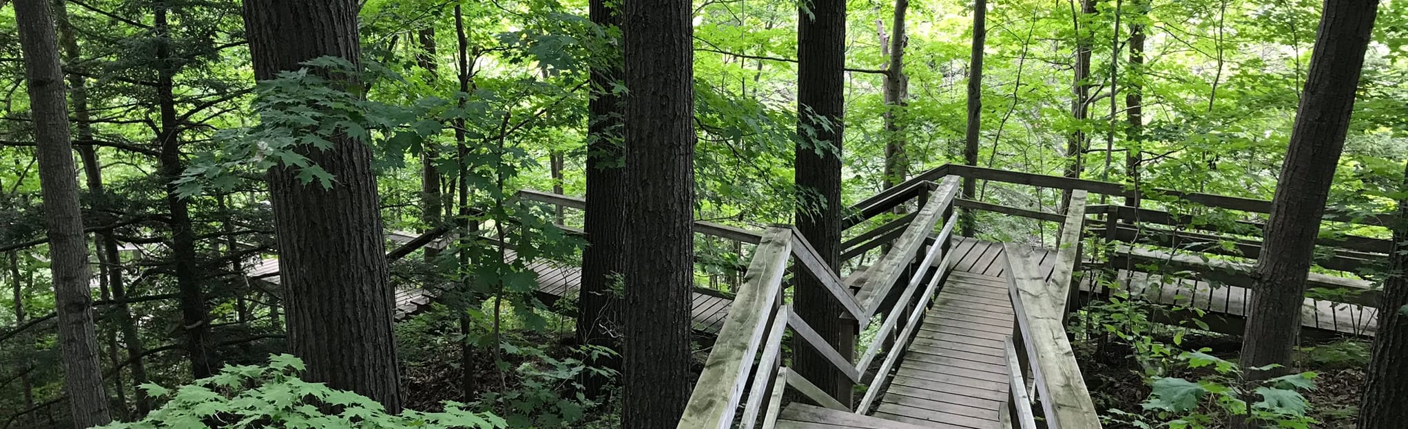 Rock Glen Conservation Trail Ontario, Canada AllTrails