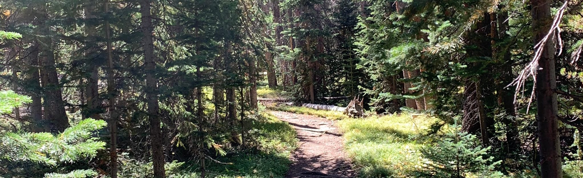 North Lone Pine Trail, Colorado 120 Reviews, Map AllTrails