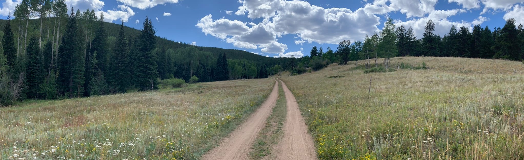 Barbour Fork Trail, Colorado 279 Reviews, Map AllTrails