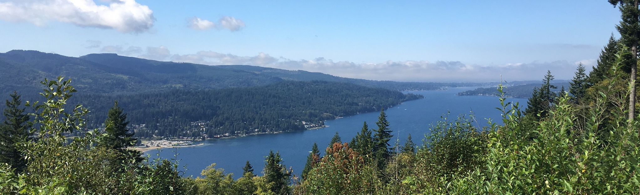 Chanterelle Trail and Wickersham Truck Trail Loop 901 Photos État