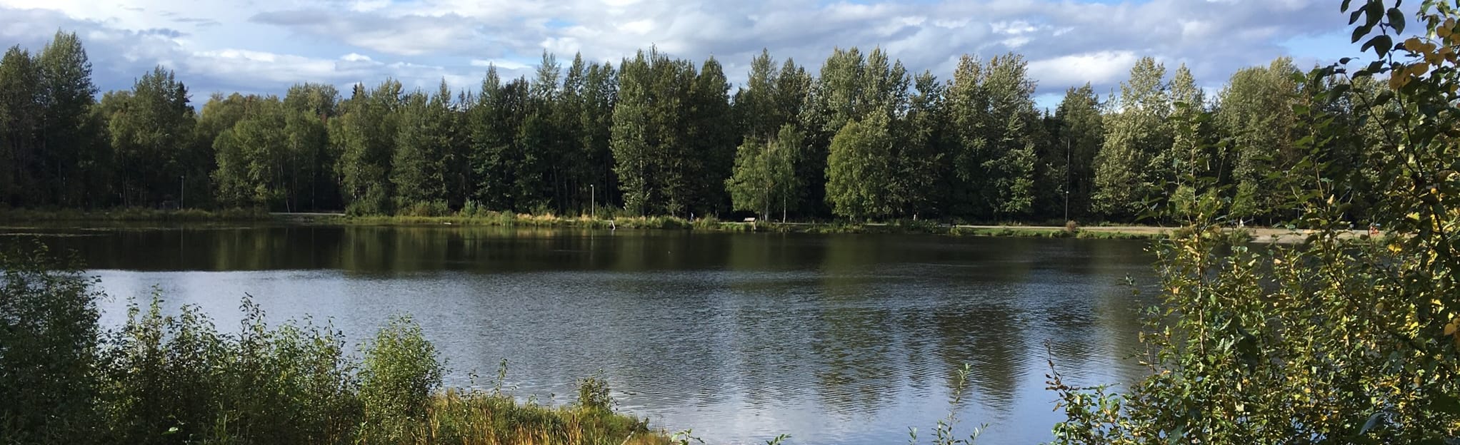 Campbell Creek Trail Taku Lake Loop 214 Reviews, Map Alaska AllTrails