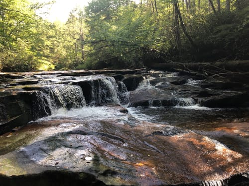 Best 10 Hikes and Trails in Otter Creek Wildlife Management Area