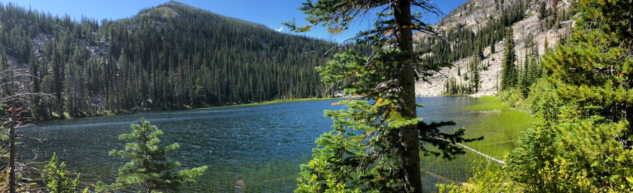 Camas Lake Trail, Montana - 235 Reviews, Map | AllTrails