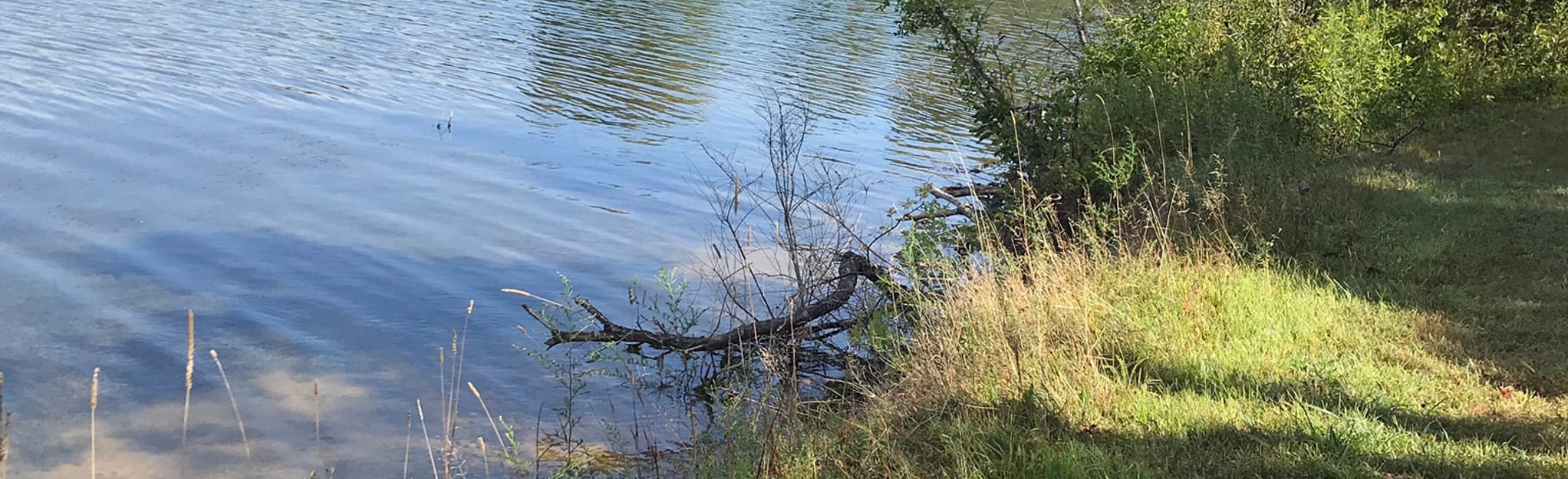 Alum Creek Multi Purpose Trail 404 Reviews, Map Ohio AllTrails