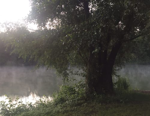 Am wilden Neckar
