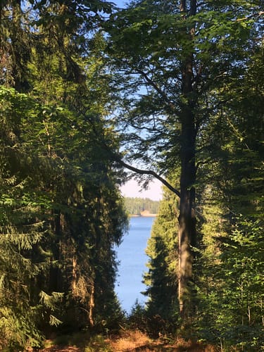Talsperre Sosa Großer Rundweg