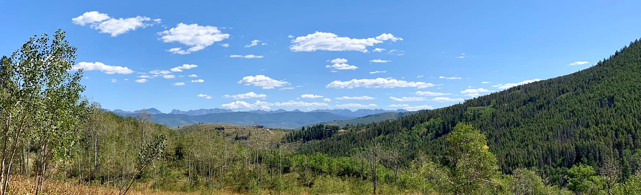 AllTrails Stag Gulch Trail 321 Reviews, Map Colorado