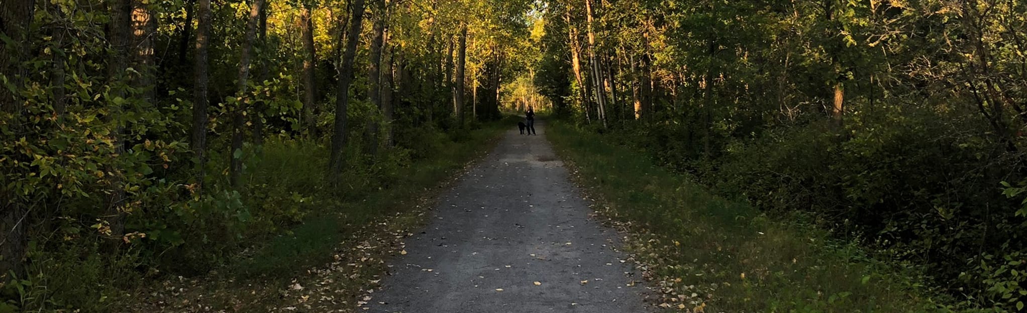 Cataraqui Trail County Road 16 to Yarker, Ontario, Canada 28 Reviews, Map AllTrails