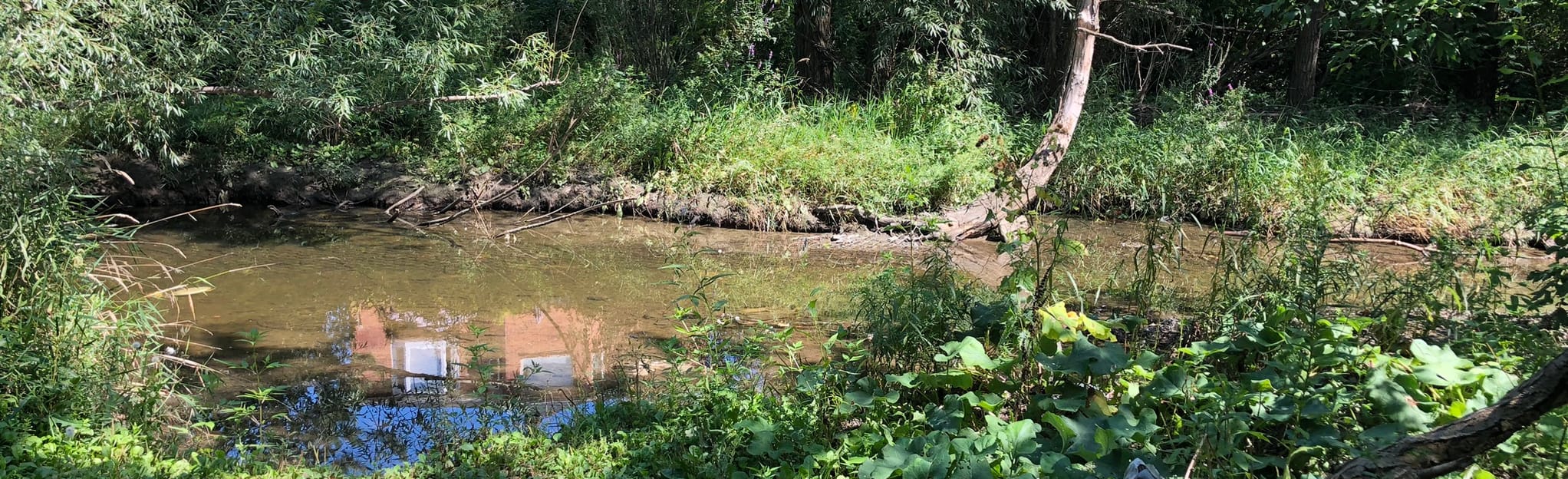 North Cooksville Creek Trail, Ontario, Canada 55 Reviews, Map AllTrails