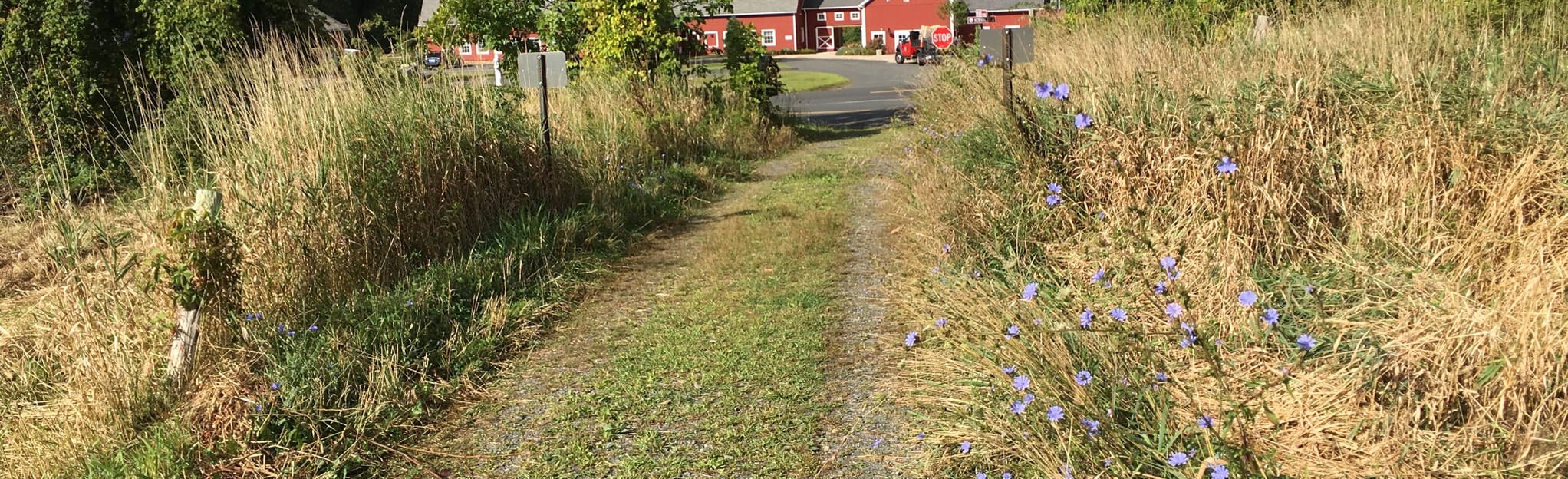 Farm Eastern Loop 101 Reviews, Map Connecticut AllTrails