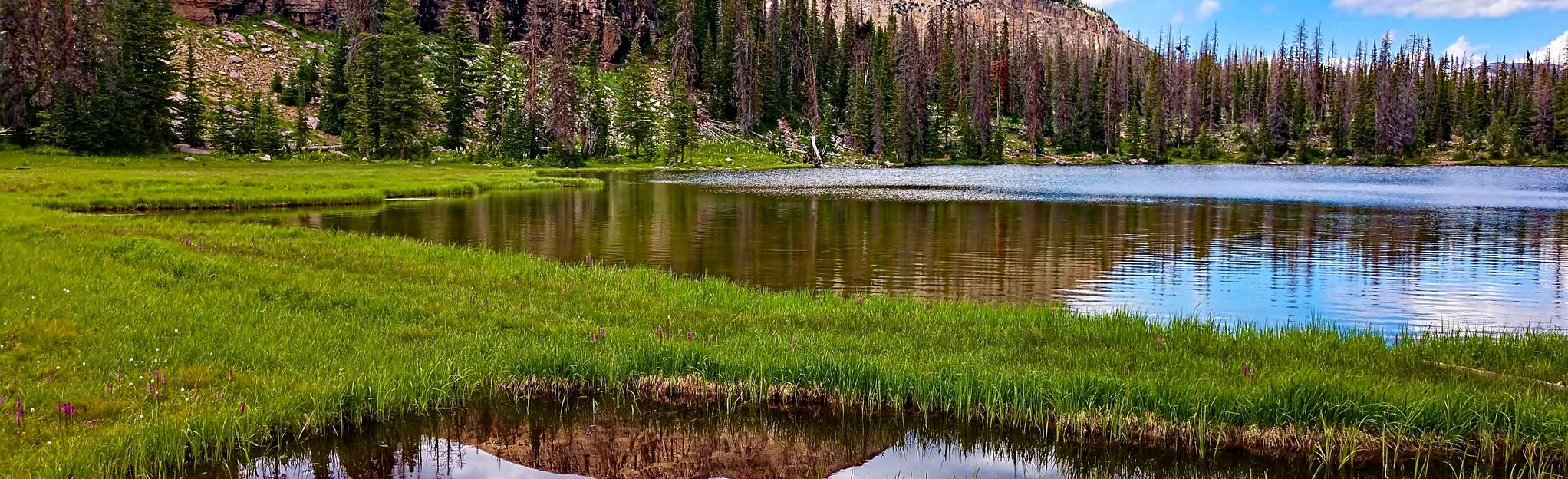 Fehr Lake Trail, Utah - 456 Reviews, Map | AllTrails