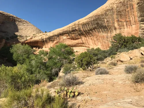 10 Best Hikes and Trails in Bears Ears National Monument | AllTrails