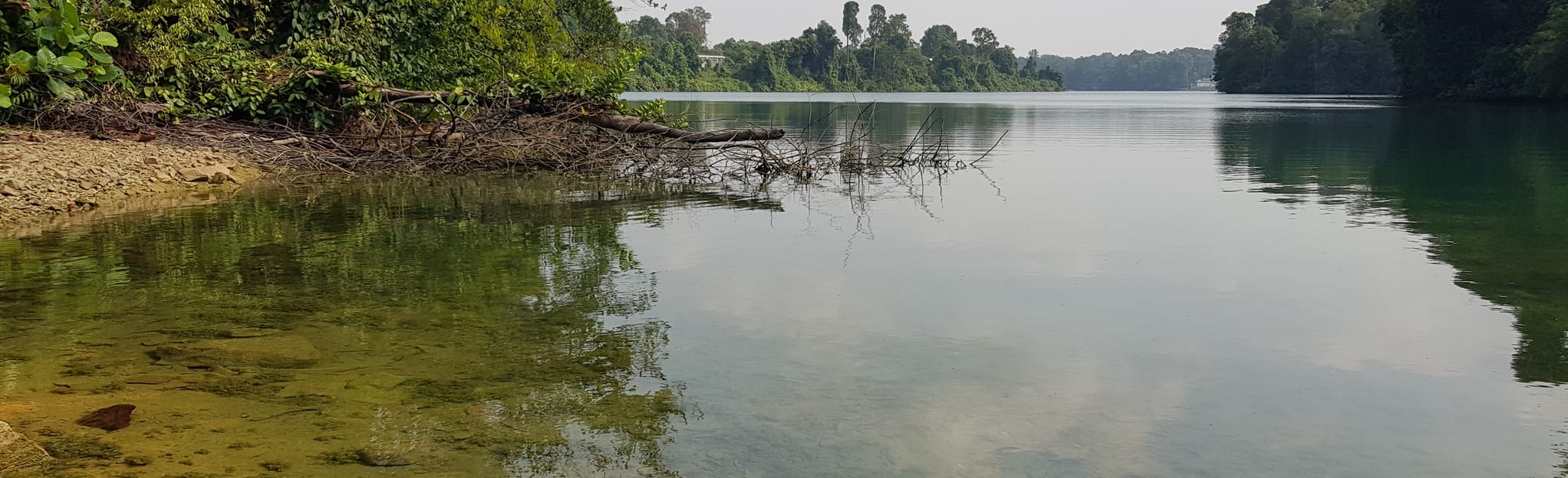 Rifle Range Road to Upper Peirce Reservoir 21 Reviews, Map Central