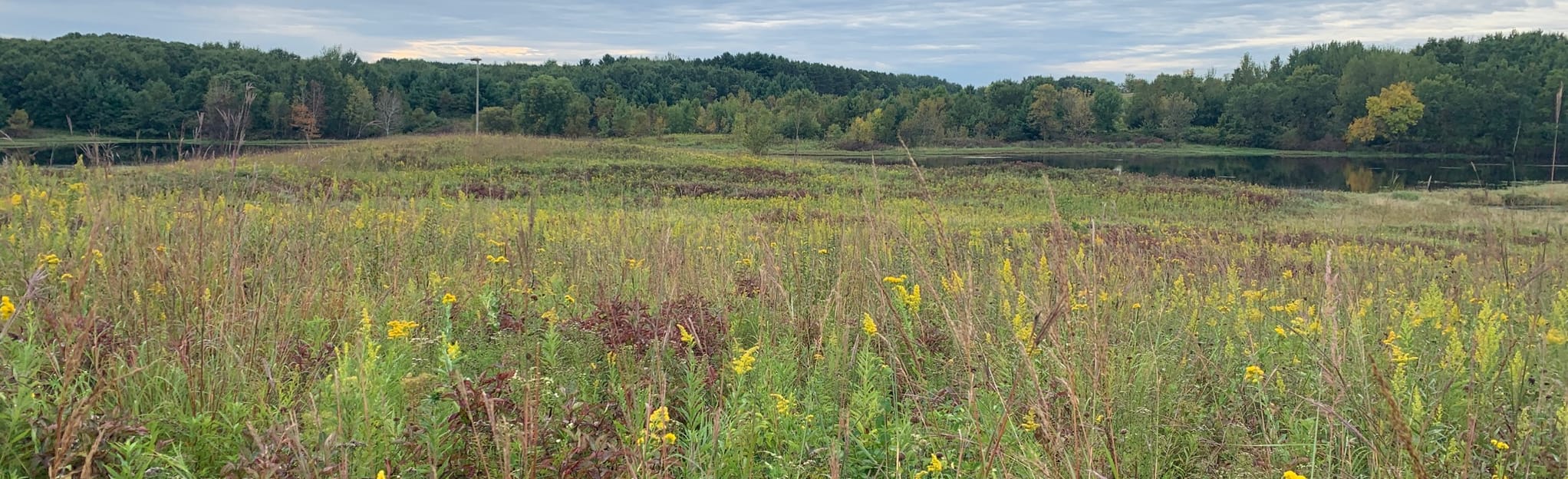 Bush Lake Loop, Minnesota 134 Reviews, Map AllTrails