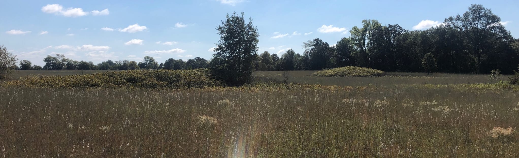 Sand Prairie Trail, Missouri 13 Reviews, Map AllTrails