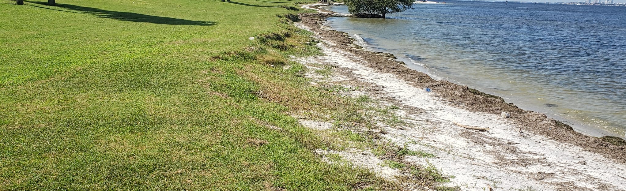 Picnic Island Loop, Florida 81 Reviews, Map AllTrails